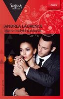 Andrea Laurence — Mano mažytė paslaptis