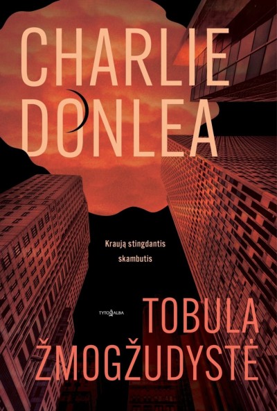 Charlie Donlea — Tobula žmogžudystė