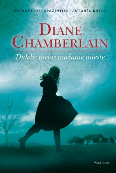 Diane Chamberlain — Didelis melas mažame mieste