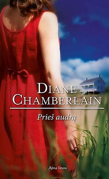 Diane Chamberlaine — Prieš audrą