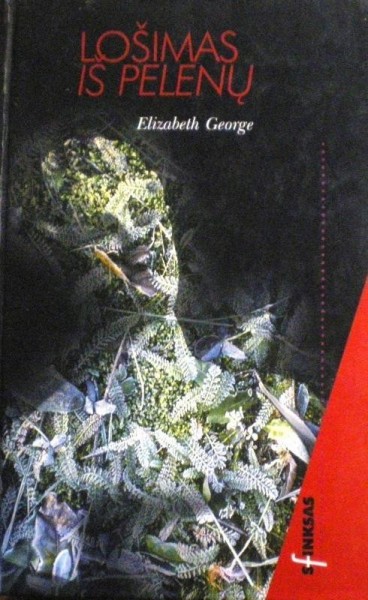 Elizabeth George — Lošimas iį pelenų
