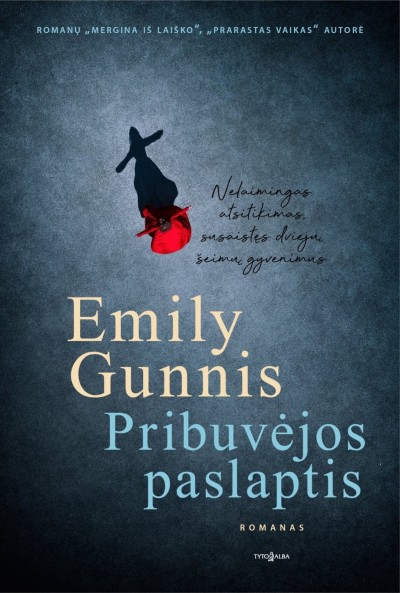 Emily Gunnis — Pribuvėjos paslaptis