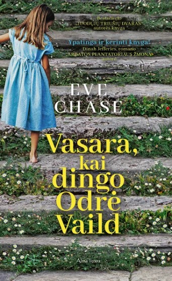 Eve Chase — Vasara, kai dingo Odrė Vaild