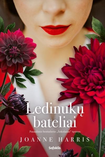 Joanne Harris — Ledinukų bateliai