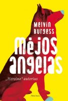 Melvin Burgess — Mėjos angelas