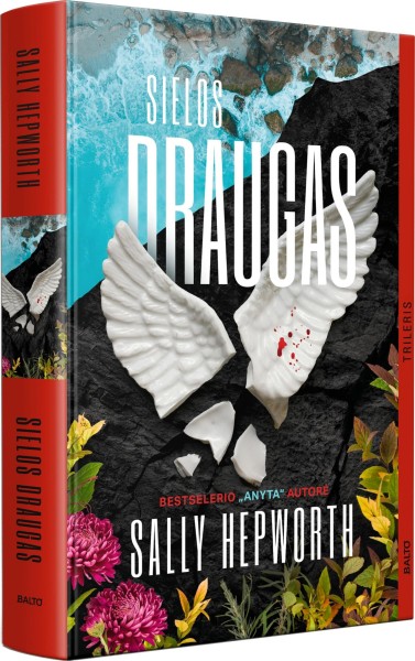 Sally Hepworth — Sielos draugas