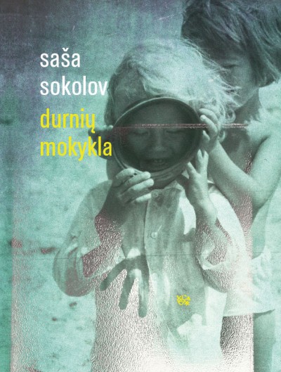 Saša Sokolov — Durnių mokykla