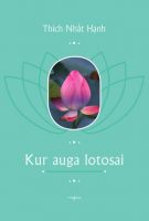 Thich Nhat Hanh — Kur auga lotosai