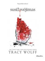 tracy-wolff-susizavejimas.jpg