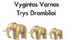 Vygintas Varnas — Trys drambliai
