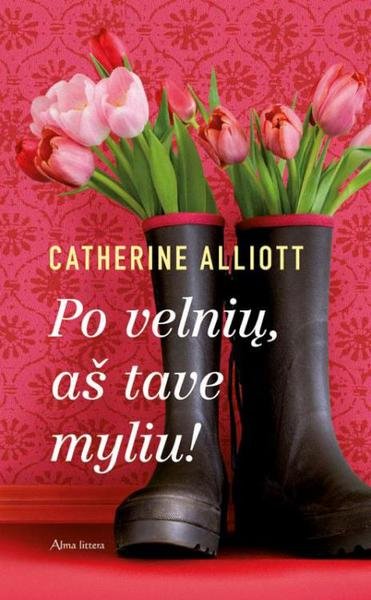 Catherine Alliott — Po velnių, aš tave myliu!