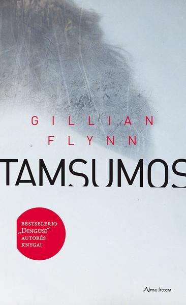 Gillian Flynn — Tamsumos