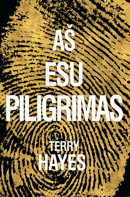 Terry Hayes — Aš esu Piligrimas