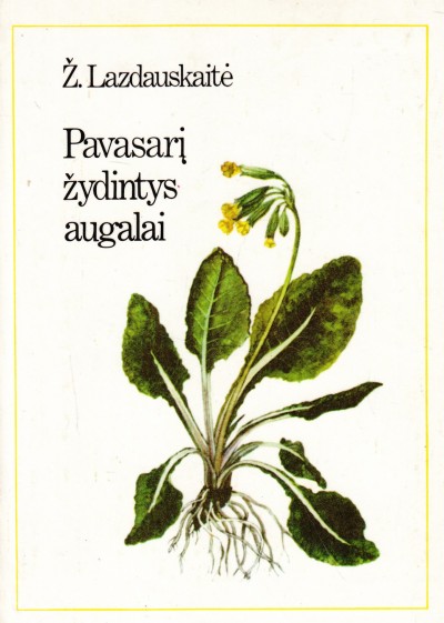 Živilė Lazdauskaitė — Pavasarį žydintys augalai